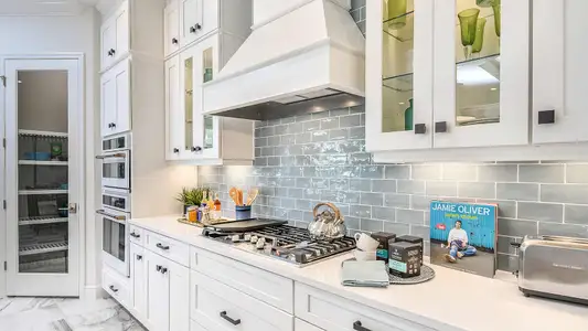 New construction Single-Family house 2353 Star Apple Wy, Lakewood Ranch, FL 34240 plan Savannah 2 - image 11