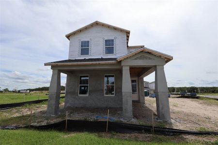 New construction Single-Family house 1389 Lumpini St, St. Cloud, FL 34771 plan Wekiva - Avenue Collection - image