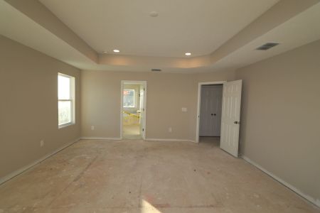 New construction Single-Family house 3063 King Fern Dr, Wimauma, FL 33598 Dali- photo 76 76