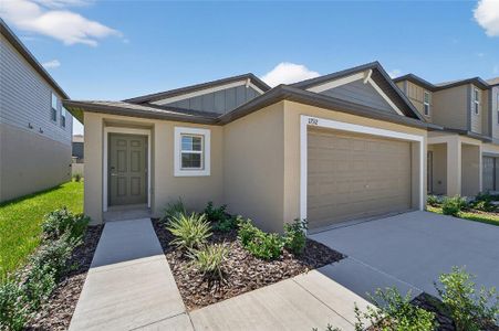 New construction Single-Family house 17512 Shirewood Wy, Land O' Lakes, FL 34638 plan Annapolis - image