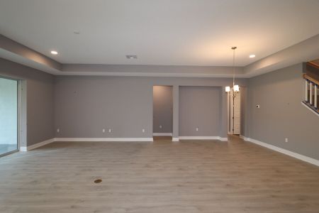 New construction Single-Family house 20243 Oriana Loop, Land O' Lakes, FL 34638 Corina  III Bonus- photo 124 124