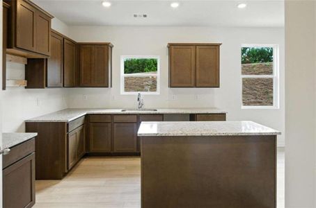 New construction Single-Family house 234 River Run Dr, Dallas, GA 30132 plan Fairfax - image 5