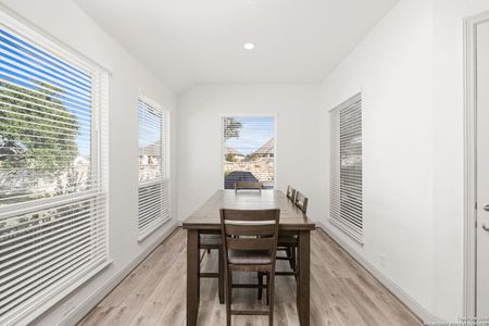 New construction Single-Family house 221 Vamanos, Boerne, TX 78006 plan Brandon - image 7