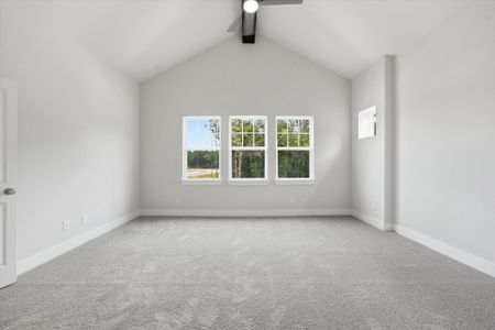 New construction Single-Family house 7919 Broken Spoke Dr, Montgomery, TX 77316 plan The Colorado - image 11