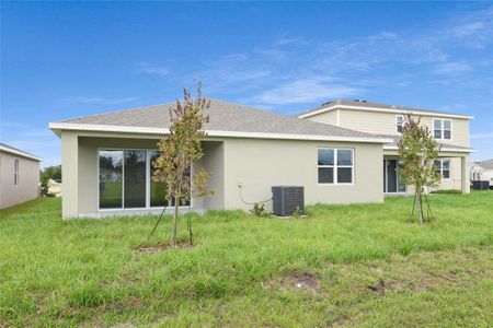 New construction Single-Family house 154 Bull Frog Ln, Umatilla, FL 32784 Slate- photo 17 17