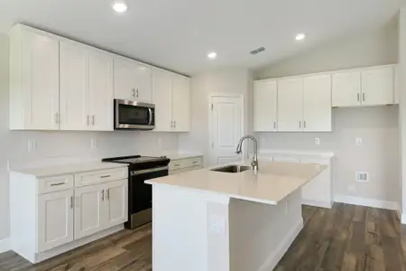 New construction Single-Family house 6153 Sw 97Th St, Ocala, FL 34476 plan Palmetto - image 4