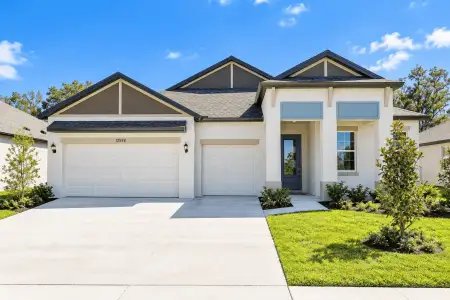 New construction Single-Family house 12598 Kelly Ann Lp, Brooksville, FL 34613 plan 60' - Charlotte - image