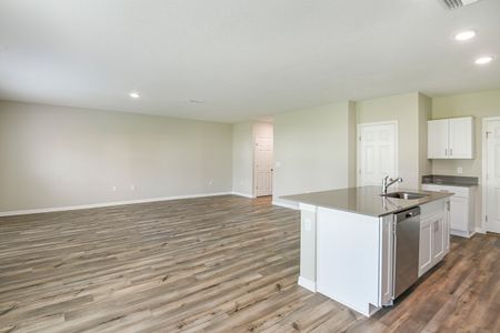 New construction Single-Family house 34620 Silent Pine Run, Dade City, FL 33525 plan Azure - image 9