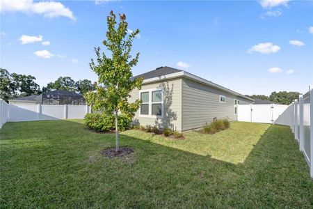 New construction Single-Family house 7358 Sw 76Th Ter, Ocala, FL 34481 HALLE- photo 23 23