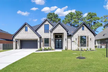 New construction Single-Family house 143 Bent Tree Ln, Montgomery, TX 77356 - image