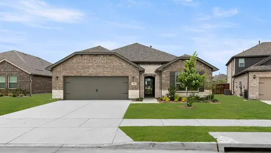 New construction Single-Family house 708 Tawny Turn, Lavon, TX 75166 - image