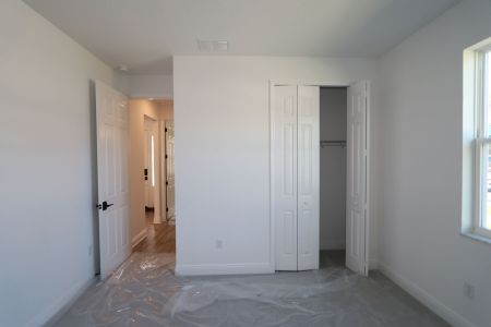 New construction Single-Family house 20112 Oriana Loop, Land O' Lakes, FL 34638 Corina  III Bonus- photo 112 112