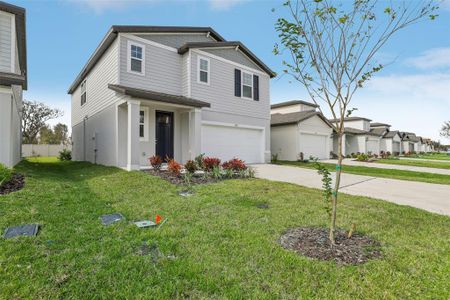 New construction Single-Family house 3827 Radiant Mountain Dr, Plant City, FL 33565 Redwood- photo 2 2