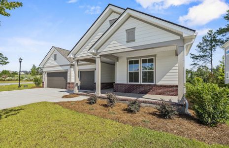 New construction Single-Family house 301 Pecan Orchard Rd, Elgin, SC 29045 plan Renown - image