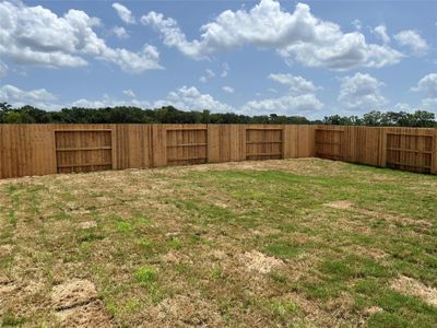 New construction Single-Family house 5654 Shelford Birch Dr, Cut and Shoot, TX 77303 plan Magellan - image 3
