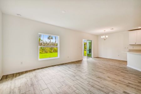 New construction Single-Family house 9982 Last Light Gln, Parrish, FL 34219 null- photo 17 17