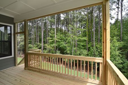 New construction Single-Family house 1041 Sage Pine Cir, Clover, SC 29710 plan Princeton - image 4