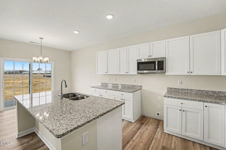 New construction Single-Family house 133 Tuscarora Dr, La Grange, NC 28551 - image 6