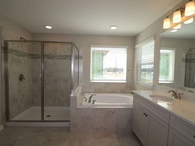 New construction Single-Family house 3189 Fall Harvest Dr, Zephyrhills, FL 33540 plan Castellana - image 4