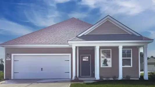 New construction Single-Family house 3001 Waterfall Wy, Georgetown, SC 29440 plan Aria - image