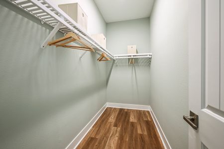 Barrington Preserve by Homes by WestBay in Brandon - image 7