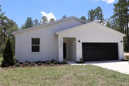 New construction Single-Family house 20714 SW Audubon Ave, Dunnellon, FL 34431 - image