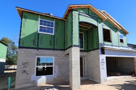 New construction Single-Family house 12134 Hilltop Farms Dr, Dade City, FL 33525 Malibu- photo 50 50