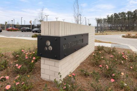 New construction Single-Family house 716 Triangle Ln, Summerville, SC 29486 null- photo 61 61