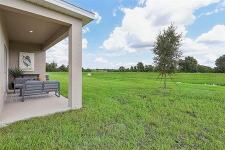 New construction Single-Family house 33431 Seattle Slew Dr, Sorrento, FL 32776 The Webber- photo 38 38