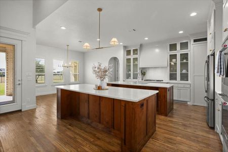 New construction Single-Family house 12436 Bella Dio Dr, Fort Worth, TX 76126 - image 15