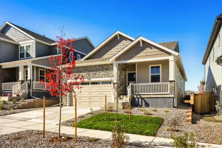 New construction Single-Family house 13765 Daffodil Pt, Parker, CO 80134 plan Aspen - image
