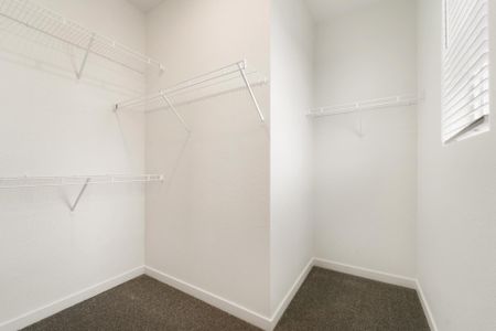 New construction Single-Family house 3924 Lake Clark St, Evans, CO 80620 plan Caribou - image 19