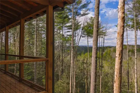 New construction Single-Family house 121 Indian Ln, Ellijay, GA 30540 - image