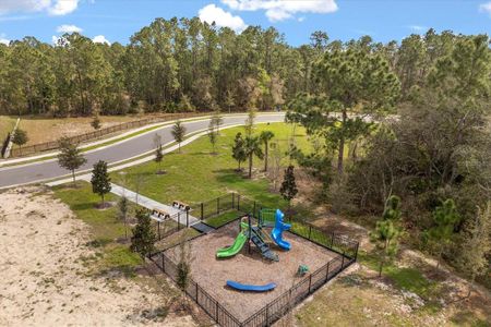 New construction Single-Family house 1242 Butterfly Orchid Rd, Davenport, FL 33837 null- photo 72 72