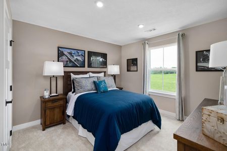 New construction Single-Family house 569 Freedom Trail Dr, Willow Spring, NC 27592 plan Columbia - image 9