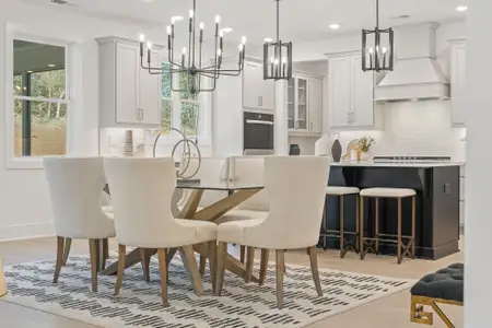 New construction Single-Family house 1548 Univeter Rd, Canton, GA 30115 plan Sherwood - image 8