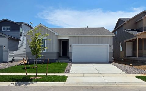 New construction Single-Family house 5596 Ranch St, Mead, CO 80504 plan Cimarron - image