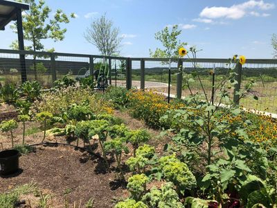 New construction Single-Family house 9801 Petrichor Blvd, Manor, TX 78653 null- photo 18 18