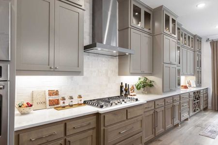 New construction Single-Family house 2036 Grey Birch Pl, Aledo, TX 76008 plan 222 - image 12