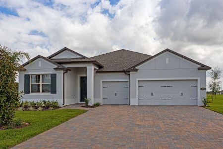 New construction Single-Family house 842 Creeping Fig St, Apopka, FL 32703 null- photo 1 1