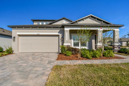 New construction Single-Family house 38471 Barrel Dr, Dade City, FL 33525 Picasso Bonus- photo 100 100