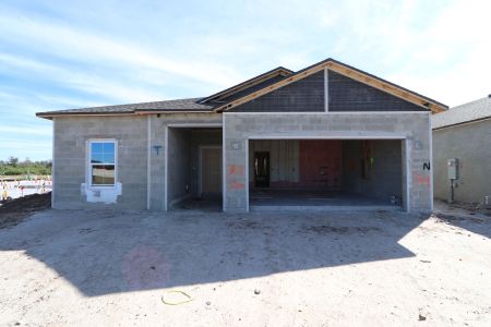 New construction Single-Family house 3150 Adams Cross Dr, Zephyrhills, FL 33540 Miranda- photo 43 43