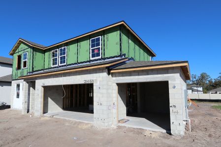 New construction Single-Family house 20050 Oriana Loop, Land O' Lakes, FL 34638 Santa Monica- photo 24 24