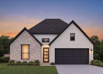 New construction Single-Family house 2580 Gideon Ln, New Braunfels, TX 78130 plan Laguna - image