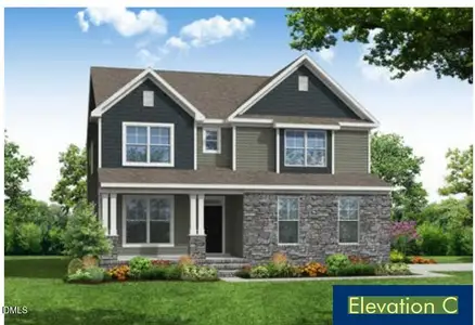 New construction Single-Family house 250 Rising Star Dr Dr, Clayton, NC 27520 - image