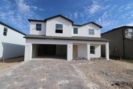 New construction Single-Family house 12168 Hilltop Farms Dr, Dade City, FL 33525 Malibu- photo 89 89