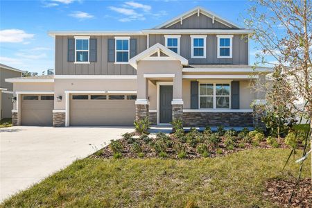 New construction Single-Family house 820 Silver Ridge Ln, Mount Dora, FL 32757 - image