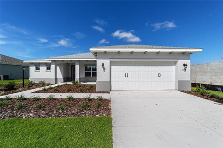 New construction Single-Family house 9912 Sw 106Th Cir, Ocala, FL 34481 plan Livingston - image