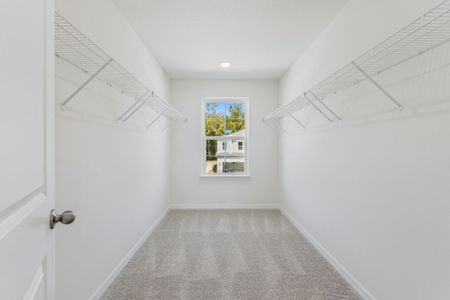 New construction Single-Family house 4296 Darby Ct, Eustis, FL 32736 plan Florence - image 18