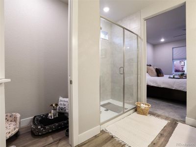 New construction Single-Family house 16015 Mountain Flax Dr, Monument, CO 80132 - image 6